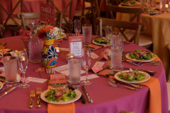 Maximize-Life-Gala-2024_Nick-Klein-Photography-173