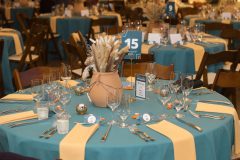 Maximize-Life-Gala-2025_Nick-Klein-Photography-14