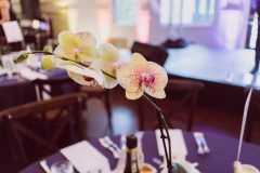 Max-Foundation-2022-Gala-128-scaled