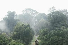 AngkorWat-Jungle-scaled