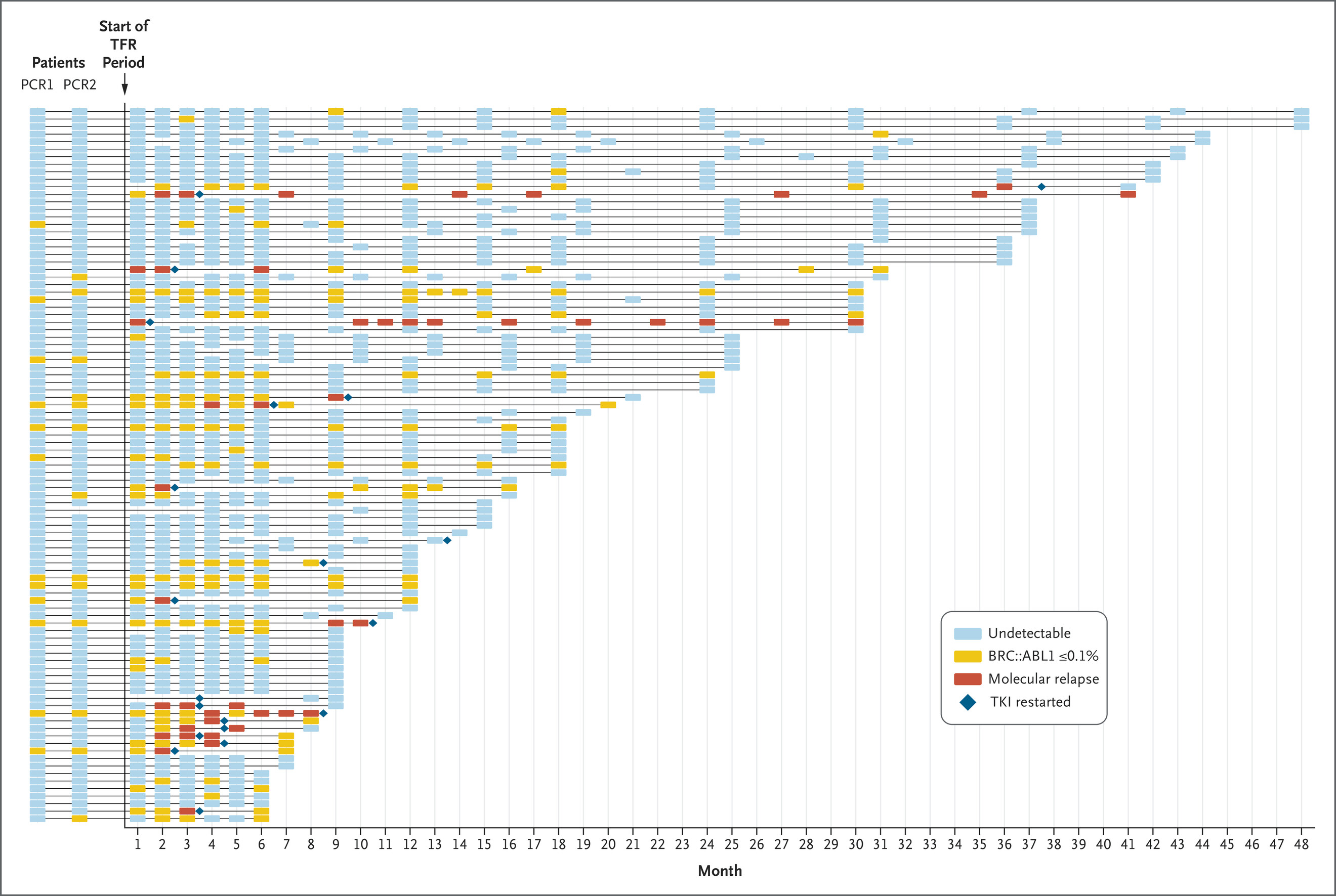Treatment-Free Remission in Chronic Myeloid Leukemia in Low- and Middle-Income Countries