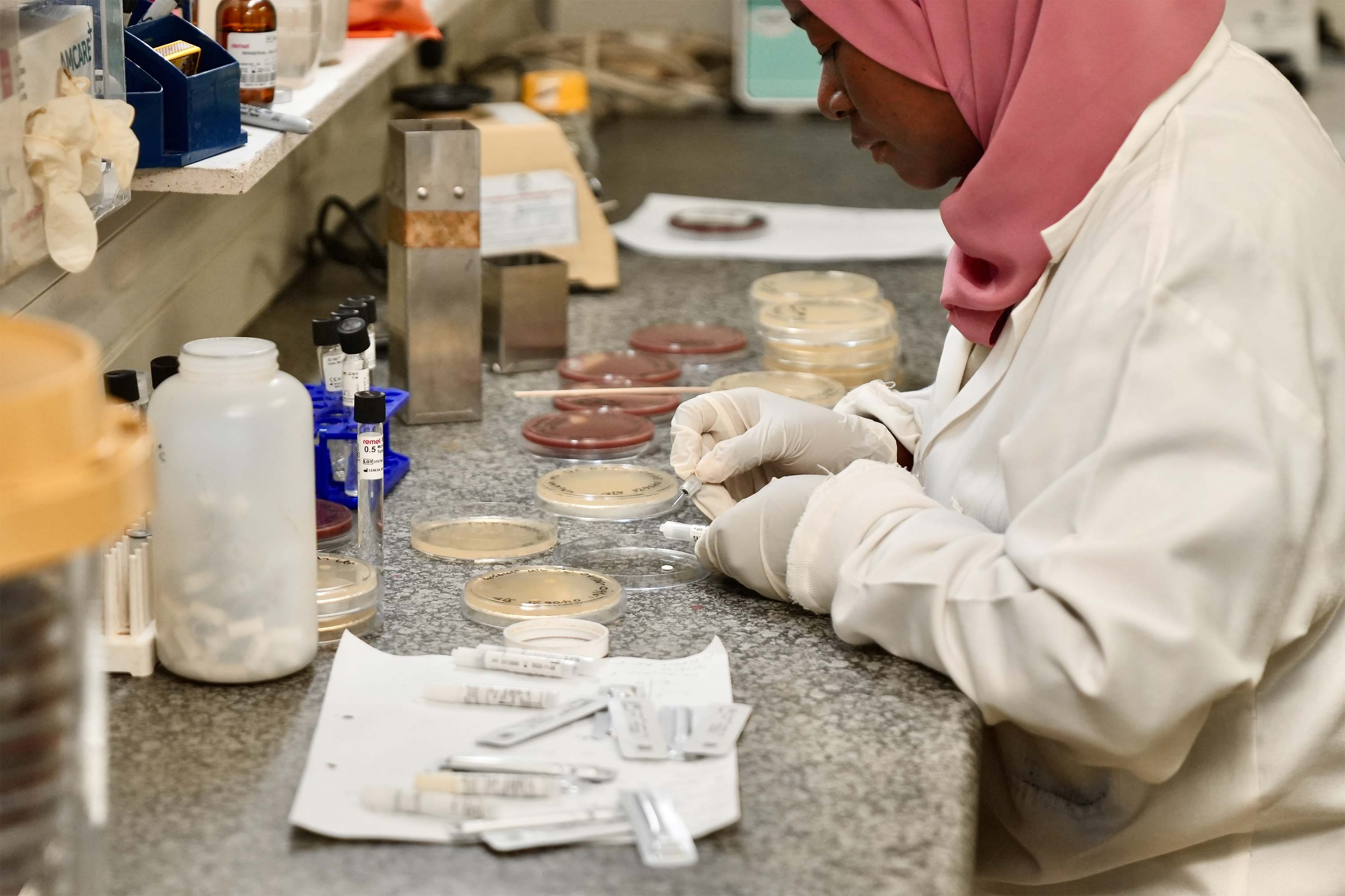 The Max Foundation My PCR - A lab technician wearing a pink hijab, white lab coat, and protective gloves carefully examines petri dishes