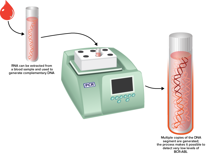 PCR Machine